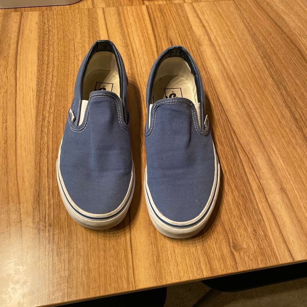 Blue slip on vans